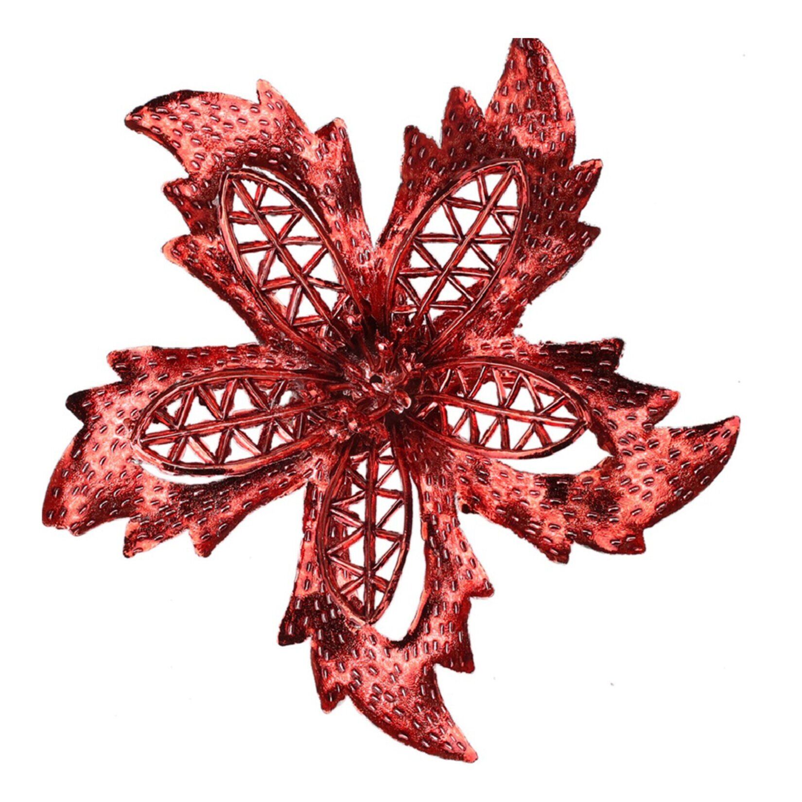 Koopman Yılbaşı Çiçeği Kırmızı 12Cm