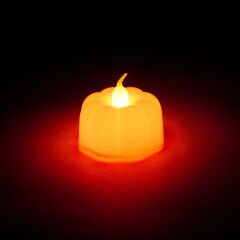 Pumpkin Led Mum - Asorti