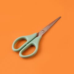 Çok Amaçlı Mutfak Makası - Yeşil - 25 cm