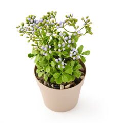 Dekor Saksılı Yapay Kokina Çiçek - Asorti - 17x6 cm