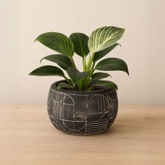 Boho Desenli Beton Saksı - Siyah - 14x12,5 cm