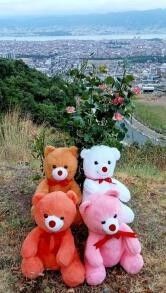 OYUNCAK PELUŞ AYI 55 CM