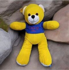 SEVİMLİ YELEKLİ PELUŞ AYICIK