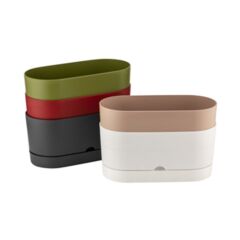 Farıst Garden Poliwork Begonya Plastik 5,5 L