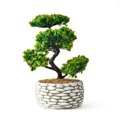 Dekoratif Saksılı Bonsai Meri Yapay Çiçek - Beyaz / Yeşil - 20x20x36 cm