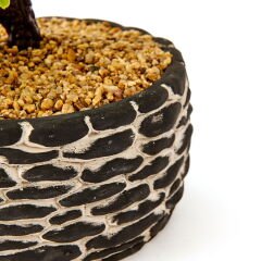 Dekoratif Saksılı Bonsai Meri Yapay Çiçek - Siyah / Yeşil - 20x20x36 cm