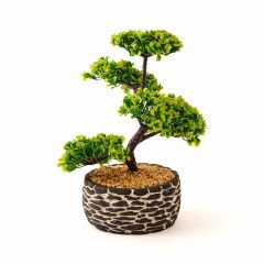 Dekoratif Saksılı Bonsai Meri Yapay Çiçek - Siyah / Yeşil - 20x20x36 cm