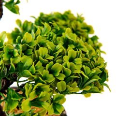 Dekoratif Saksılı Bonsai Meri Yapay Çiçek - Siyah / Yeşil - 20x20x36 cm