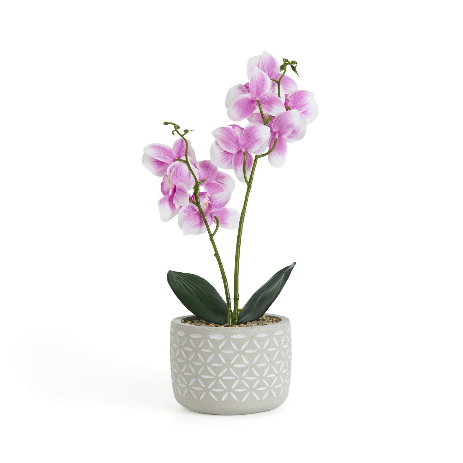 Beton Saksıda Real Touch Orkide - Pembe - 12x35 cm