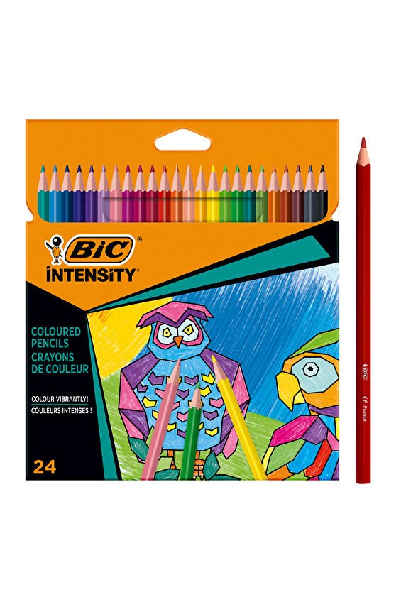 Bıc Color Up Üçgen Kuru Boya 24 Lu