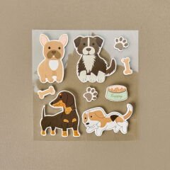 3D Pet Baskılı Sticker - Asorti