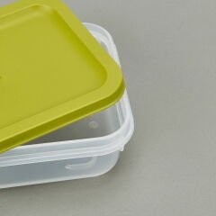 Alfa Derin Dondurucu Saklama Kabı - Asorti - 500 ml