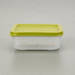 Alfa Derin Dondurucu Saklama Kabı - Asorti - 500 ml