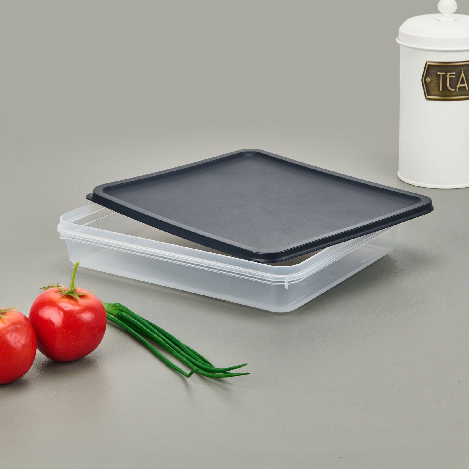 Alfa Derin Dondurucu Saklama Kabı - Asorti - 2600 ml