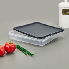 Alfa Derin Dondurucu Saklama Kabı - Asorti - 2600 ml