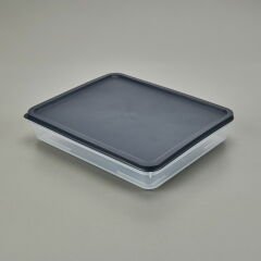 Alfa Derin Dondurucu Saklama Kabı - Asorti - 2600 ml