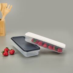 Alfa Derin Dondurucu Saklama Kabı - Asorti - 1200 ml