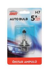 Autokit Oto Ampul 12V H7
