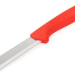 Lazer Dişli Bıçak - Asorti - 22 cm