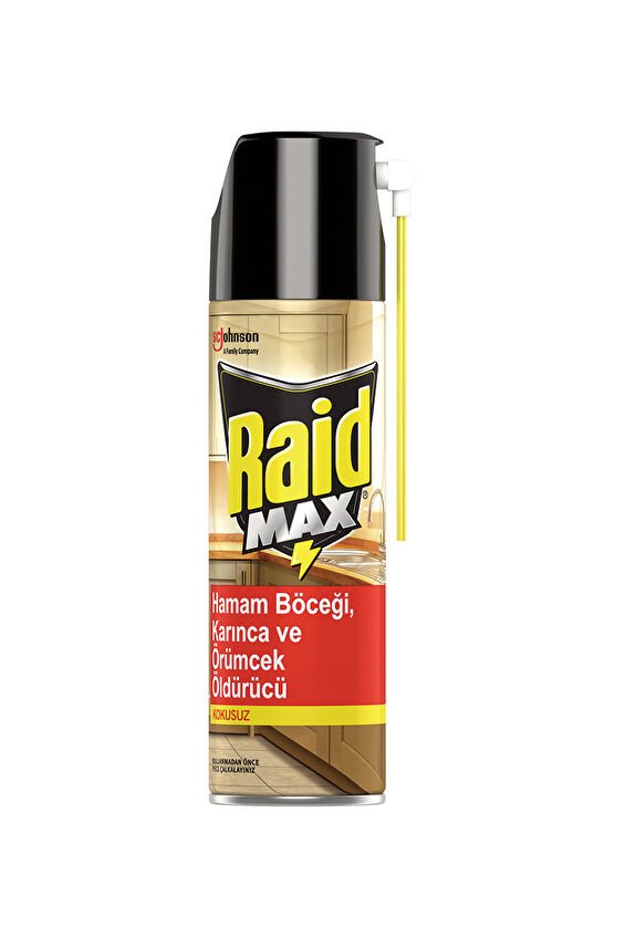 Raid Böcek Savar Max 300 ml