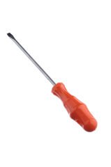 Tornavida Düz 6*100