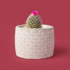 Işık Desen Beton Saksı - Bej - 10x13 cm