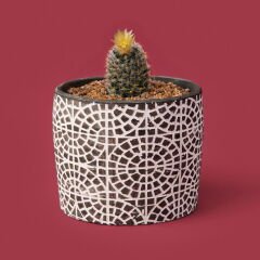 Mozaik Desen Beton Saksı - Siyah - 10x13 cm