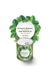 Konserve Kekik Yetiştirme Kiti KB007