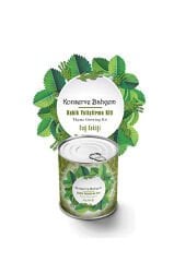 Konserve Kekik Yetiştirme Kiti KB007