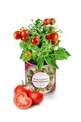 Konserve Domates Yetiştirme Kiti KB002