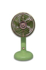 Wexta Taşınabilir Masaüstü USB Fan Yeşil FY060