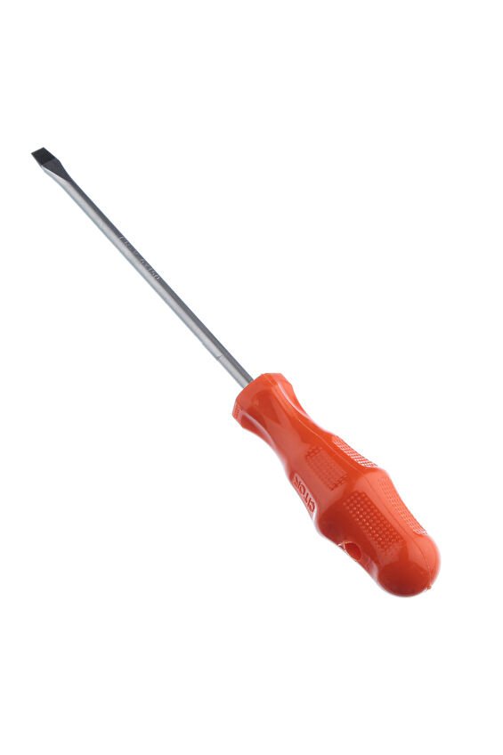 Tornavida Düz 6*100