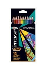 BIC Color Up Kuru Boya Kalemi 12'li Kutu