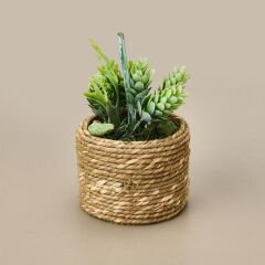 Natürel Çiçek - Asorti - 15 cm