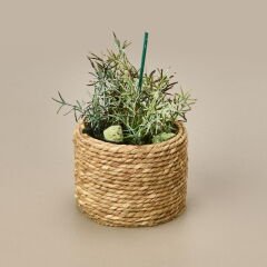 Natürel Çiçek - Asorti - 15 cm