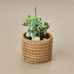 Natürel Çiçek - Asorti - 15 cm