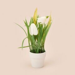 Spring Çiçek - Asorti - 6x5 cm
