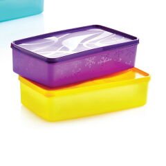 Alaska Dikdörtgen Derin Dondurucu Saklama Kabı - Asorti - 2,1 lt