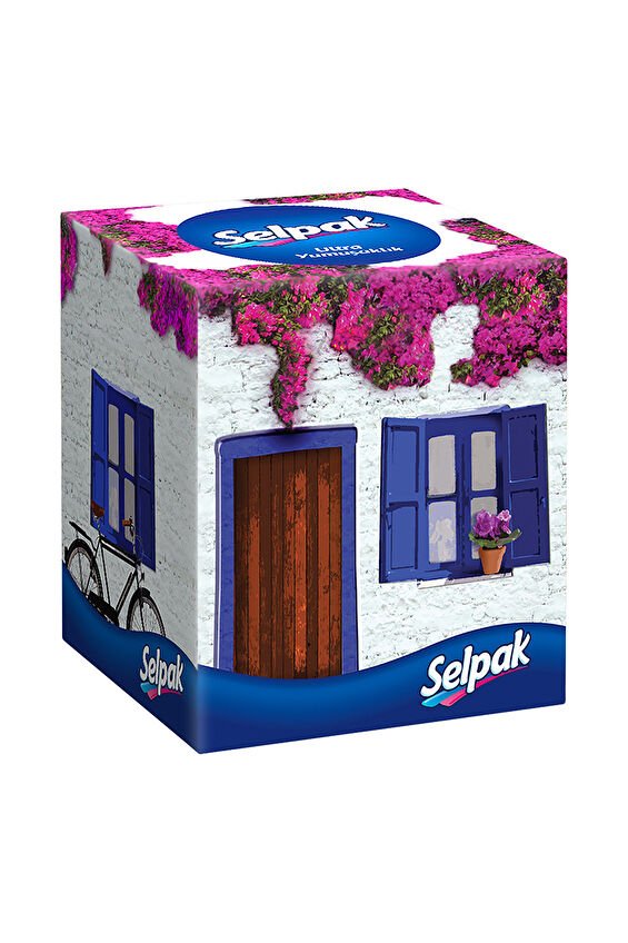 Selpak Kutu Mendil Butık 48'li