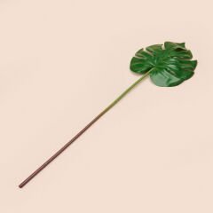 Deve Tabanı Dal Çiçek - Yeşil - 45 cm