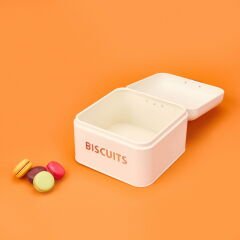 Galvaniz Bisküvi Kutusu - Krem - 3,5 lt