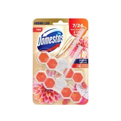 Domestos Wc Blok Lux Yıldız Çiçeği  Ejder Meyvesi 2 x 50 G