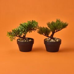Bonsai Çiçek - Asorti - 19 cm