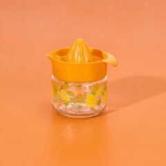 Fresia Desenli Limonluk - Asorti - 300 ml