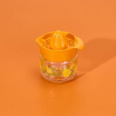 Fresia Desenli Limonluk - Asorti - 300 ml