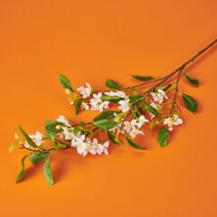 Filbahri Limon Çiçeği - Beyaz - 95 cm