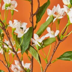 Filbahri Limon Çiçeği - Beyaz - 95 cm