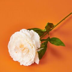 Şakayık Yapay Çiçek - Beyaz - 70 cm