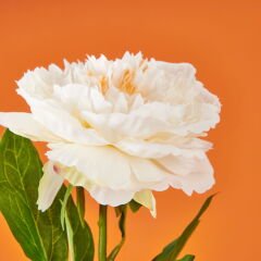 Şakayık Yapay Çiçek - Beyaz - 70 cm