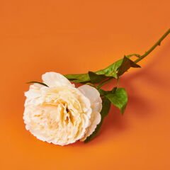 Şakayık Yapay Çiçek - Krem - 70 cm